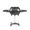 PK Grills 54 In. PK360 Charcoal Grill And Smoker Graphite