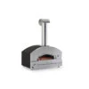 Alfa Liquid Propane/Wood Pellet Outdoor Pizza Oven Silver