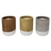 Trendspot Assorted Ceramic 4 In. H Reed Citronella Candle