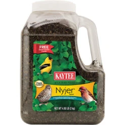Kaytee Nyjer Songbird Nyjer Seed Wild Bird Food 4.65 Lb