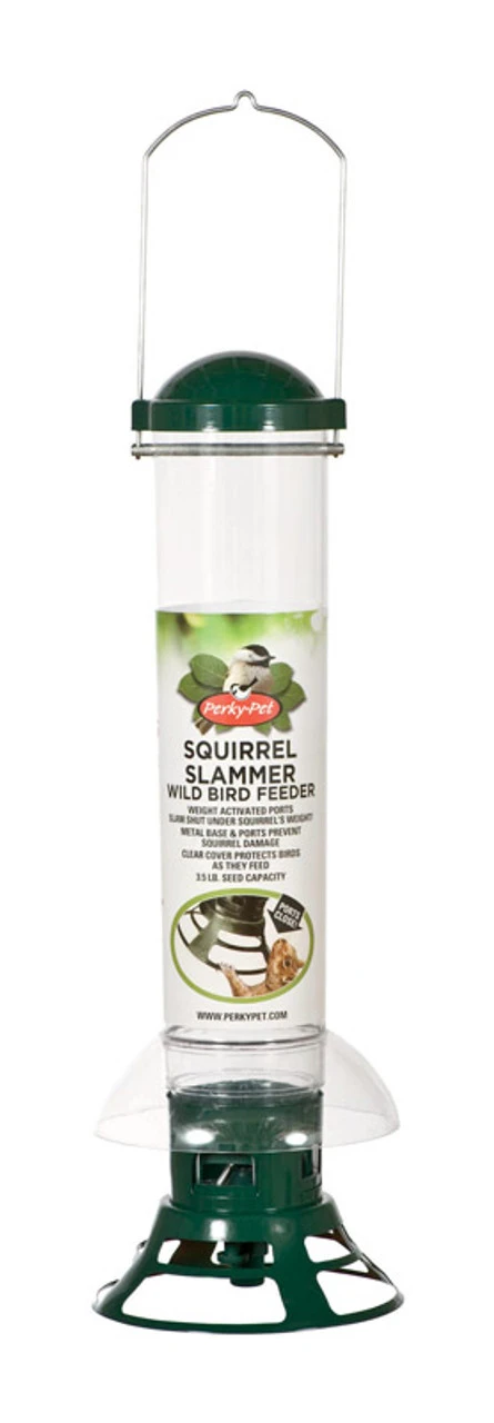 Perky-Pet Squirrel Slammer Wild Bird 3.5 Lb Metal/Plastic Bird Feeder 3 Ports 1 Perky-Pet Squirrel Slammer Wild Bird 3.5 Lb Metal/Plastic Bird Feeder 3 Ports
